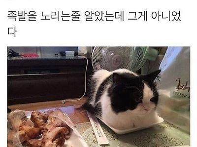 족발이 아니였구나 ㅎ