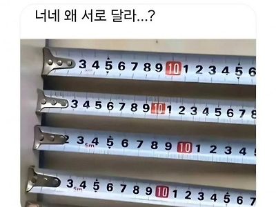 보이는게 다가 아니네