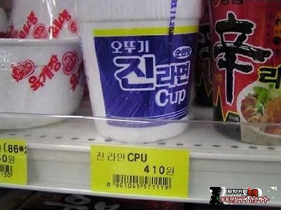 반도체 진출하는 갓뚜기