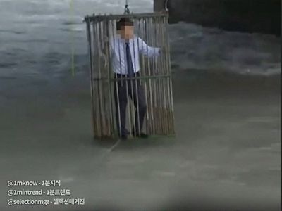 국내도입시급하다