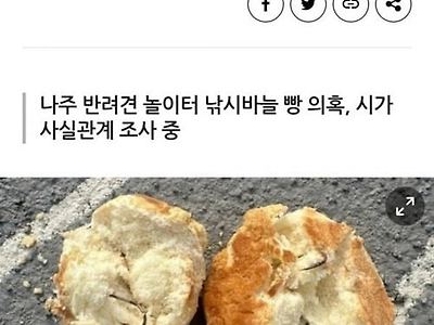 와 ㅆㅂ새끼네