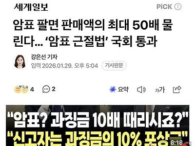 신고포상금이 끌리는데