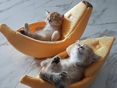 침대 편해보이네
