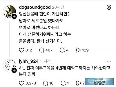 이건 또 무슨 소리죠....ㄷㄷㄷㄷㄷ