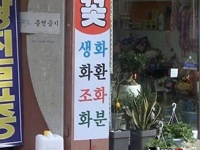 오 신기하네