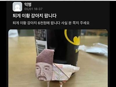 아주 약간 사고 싶네