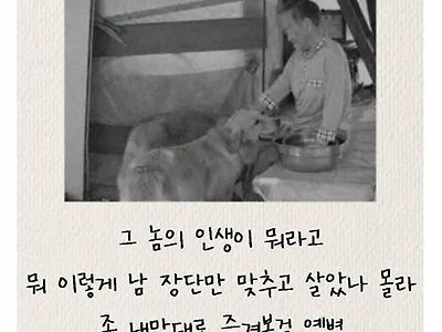베짱이가 되자. 개미 말고