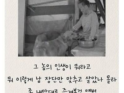 인생짧다