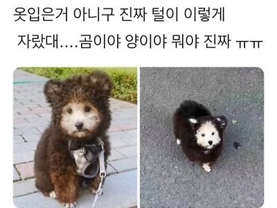 옷 입은거 아님