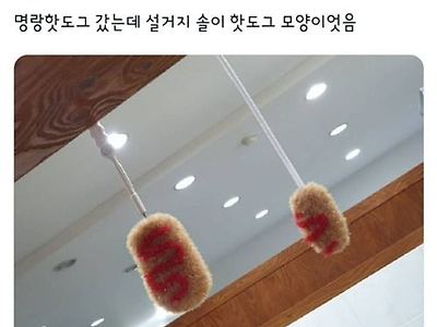 요거요거 탐나네