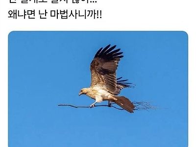 마법새