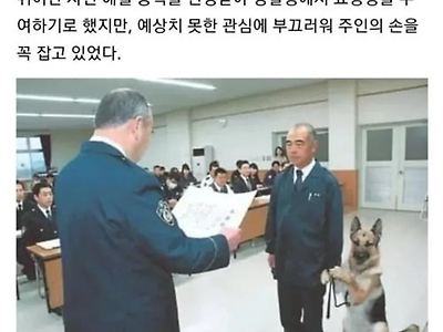 상 받는 댕댕이