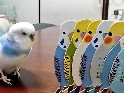 군중심리 무섭지