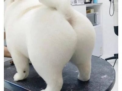 ㅎㅎ진짜 돈들인 뿌듯함이 있네