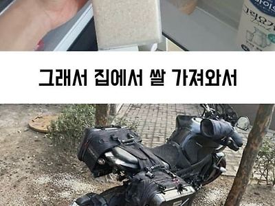 엄청 똑똑하시네