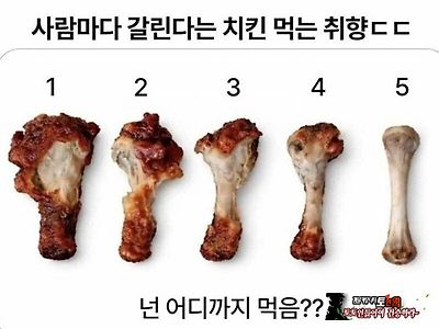 치킨 먹는 취향