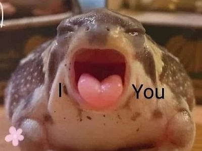 I ♡ YOU