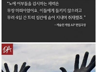 이기사를 보고 기레기들은 어떤 기분이 들까