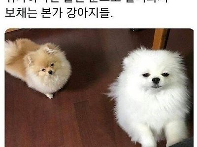 진짜 졸려보이는데ㅋㅋㅋㅋ