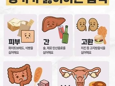 풀만 뜯어먹고 살아야함 ㅠㅡㅠ