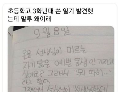 초딩때 쓴 일기