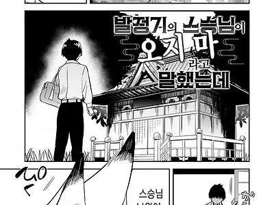 발정기의 스승님이 오자미라고 말했는데