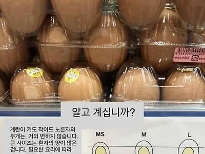 처음 알았네