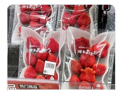 상품화하면 잘 팔릴 듯