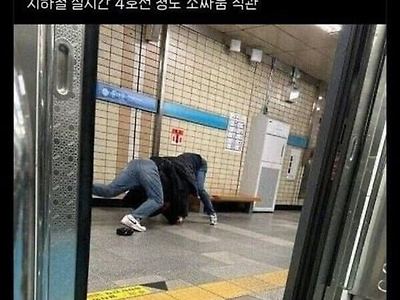 소 싸움 ㅋㅋㅋ