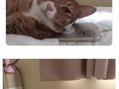숨은 활용법