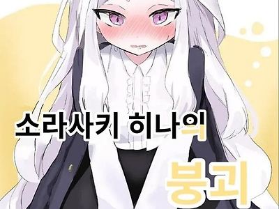 소라사키 히나의 붕괴