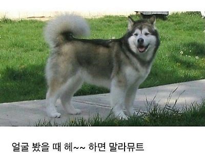 구분법