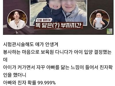 계획적인 입양