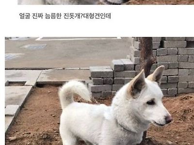 너무 귀엾잖아