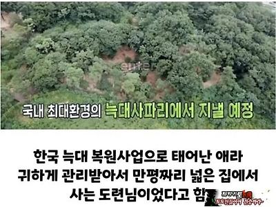 대저택에 살았군