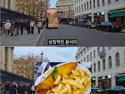 가격 ㅎㄷㄷ 하네