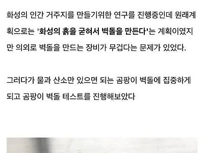 곰팡이도 생명인데