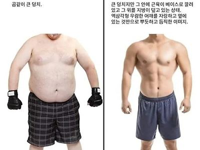 곰상의 차이