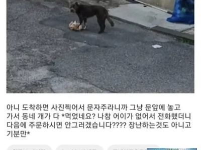 동내 개 고양이 잔치겠네 ㅎ