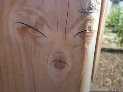I am Groot