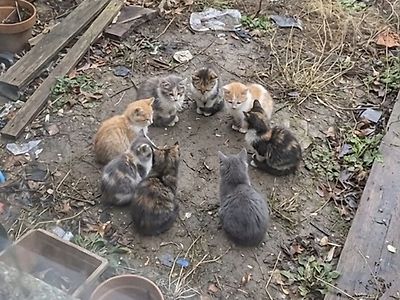 반상회 하나