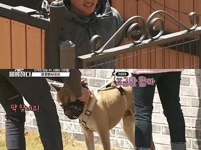 의뢰를 왜하냐..이럴꺼면