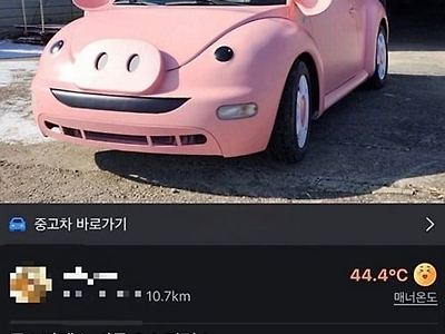 얼마인지 궁금하네