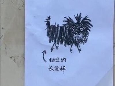 일본의 수배 전단