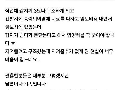 신랑보다 고양이? 아휴~