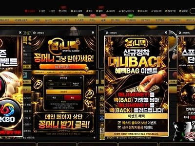 머니백 먹튀 확정