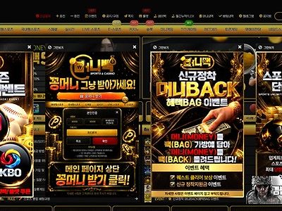 머니백 먹튀 확정