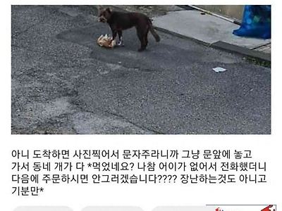 리뷰 레전드