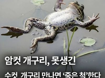 동물이나 사람이나 ㅋㅋㅋ