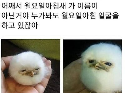 피곤해보이네ㅋ